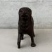 画像2: VINTAGE ANTIQUE A.C.WILLIAMS PIGGY BANK ST BERNARD RESCUE DOG ヴィンテージ アンティーク コインバンク 貯金箱 セントバーナード 犬 / コレクタブル オブジェ キャストアイアン 救助犬 置物 雑貨 鋳物 アメリカ (2)