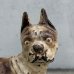 画像8: VINTAGE ANTIQUE BOSTON TERRIER DOOR STOPPER DOG ヴィンテージ アンティーク ボストンテリア ドアストッパー / コレクタブル オブジェ キャストアイアン 鋳物 置物 犬 店舗什器 アメリカ (5) (8)