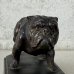画像8: VINTAGE ANTIQUE BULLDOG FIGURE ASH TRAY ヴィンテージ アンティーク ブルドッグ アッシュトレイ 灰皿 オブジェ 置物 / コレクタブル ディスプレイ インテリア 犬 動物 鋳物 アメリカ  (8)