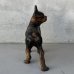画像4: VINTAGE ANTIQUE BOSTON TERRIER DOOR STOPPER DOG ヴィンテージ アンティーク ボストンテリア ドアストッパー / コレクタブル オブジェ キャストアイアン 鋳物 置物 犬 店舗什器 アメリカ (3) (4)