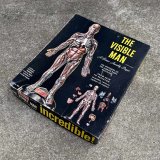 VINTAGE ANTIQUE RANWAL THE VISIBLE MAN ヴィンテージ アンティーク レンウォール ビジブルマン / 人体模型 スケルトン プラモデル ディスプレイ アメリカ