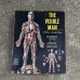画像2: VINTAGE ANTIQUE RANWAL THE VISIBLE MAN ヴィンテージ アンティーク レンウォール ビジブルマン / 人体模型 スケルトン プラモデル ディスプレイ アメリカ (2)