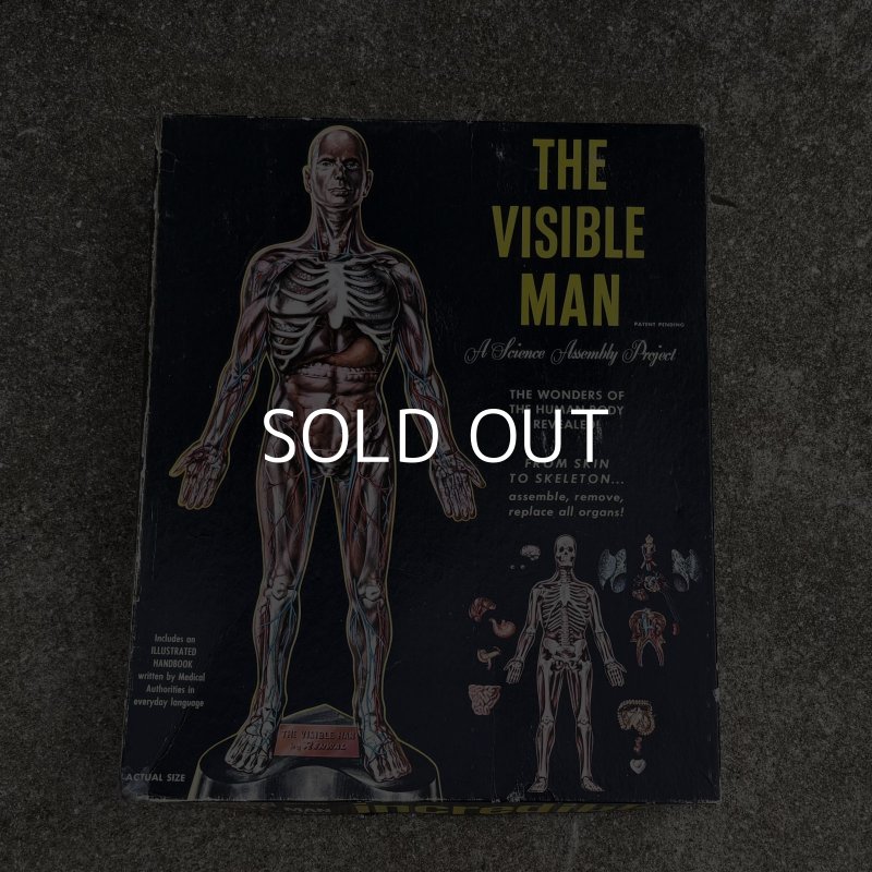 画像2: VINTAGE ANTIQUE RANWAL THE VISIBLE MAN ヴィンテージ アンティーク レンウォール ビジブルマン / 人体模型 スケルトン プラモデル ディスプレイ アメリカ