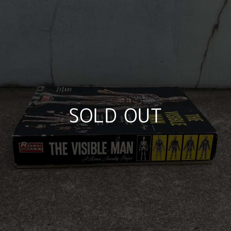 画像4: VINTAGE ANTIQUE RANWAL THE VISIBLE MAN ヴィンテージ アンティーク レンウォール ビジブルマン / 人体模型 スケルトン プラモデル ディスプレイ アメリカ