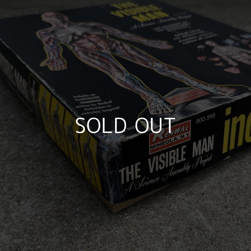 画像13: VINTAGE ANTIQUE RANWAL THE VISIBLE MAN ヴィンテージ アンティーク レンウォール ビジブルマン / 人体模型 スケルトン プラモデル ディスプレイ アメリカ