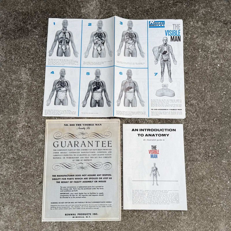 画像11: VINTAGE ANTIQUE RANWAL THE VISIBLE MAN ヴィンテージ アンティーク レンウォール ビジブルマン / 人体模型 スケルトン プラモデル ディスプレイ アメリカ