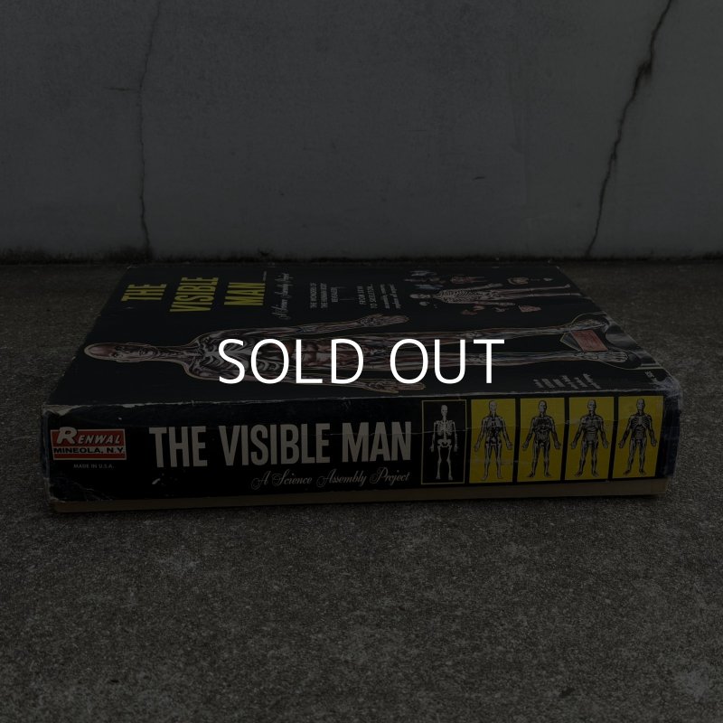 画像3: VINTAGE ANTIQUE RANWAL THE VISIBLE MAN ヴィンテージ アンティーク レンウォール ビジブルマン / 人体模型 スケルトン プラモデル ディスプレイ アメリカ