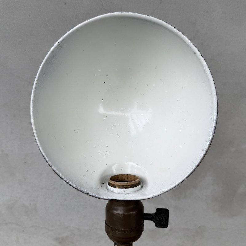 画像9: VINTAGE ANTIQUE DESKLAMP ALADDIN ヴィンテージ アンティーク デスクランプ スタンドライト 卓上ライト テーブルランプ 照明 / グースネック アイアン E26 店舗什器 アメリカ (3)