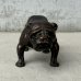 画像2: VINTAGE ANTIQUE BULLDOG FIGURE  ヴィンテージ アンティーク ブルドッグ オブジェ 置物  / コレクタブル ディスプレイ ペーパーウェイト 犬 動物 鋳物 アメリカ  (2)
