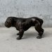 画像5: VINTAGE ANTIQUE BULLDOG FIGURE  ヴィンテージ アンティーク ブルドッグ オブジェ 置物  / コレクタブル ディスプレイ ペーパーウェイト 犬 動物 鋳物 アメリカ  (5)