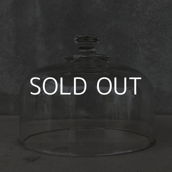 画像5: VINTAGE ヴィンテージ ガラスドーム アメリカ / ケーキドーム フードカバー テーブルウェア (5)