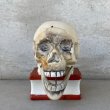 画像2: VINTAGE SKULL ON BOOK  CANDLE HOLDER ヴィンテージ スカル キャンドルホルダー / 陶器 日本製 輸出用 顎 スカルオンブック (2)