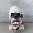 画像2: VINTAGE SKULL ヴィンテージ ドクロ キャンドルホルダー / スカルオンブック 陶器 骸骨 日本製 JAPAN (2)