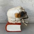 画像3: VINTAGE SKULL ON BOOK  CANDLE HOLDER ヴィンテージ スカル キャンドルホルダー / 陶器 日本製 輸出用 顎 スカルオンブック (3)