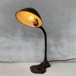 画像10: VINTAGE DESKLAMP ヴィンテージ デスクランプ デスクライト スタンドライト 卓上ライト アメリカ / インダストリアル グースネック 照明 工業用 USA (10)