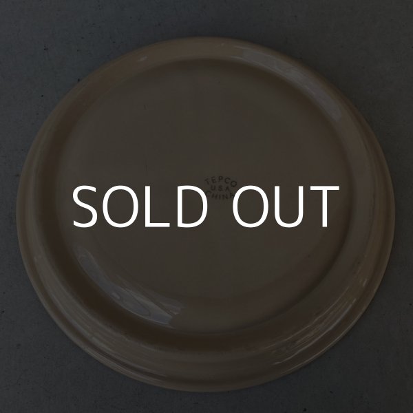 画像2: VINTAGE ANTIQUE TEPCO ヴィンテージ アンティーク テプコ トレー プレート 皿 / アメリカ 陶器 食器 仕切り ダイナー USA  (1) (2)