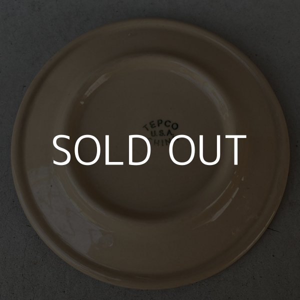画像2: VINTAGE ANTIQUE TEPCO ヴィンテージ アンティーク テプコ プレート 皿 / アメリカ 陶器 食器 レストラン ダイナー USA (2) (2)