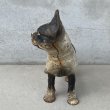 画像3: VINTAGE ANTIQUE BOSTON TERRIER DOOR STOPPER ヴィンテージ アンティーク ボストンテリア ドアストッパー / コレクタブル オブジェ キャストアイアン 鋳物 置物 犬 店舗什器 アメリカ (1) (3)