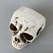 画像6: VINTAGE SKULL ASHTRAY ヴィンテージ スカル 灰皿 / 陶器 ドクロ メガネ 眼鏡 オブジェ 置物 JAPAN 日本製 (3) (6)