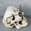 画像4: VINTAGE SKULL ASHTRAY ヴィンテージ スカル 灰皿 / 陶器 ドクロ メガネ 眼鏡 オブジェ 置物 JAPAN 日本製 (3) (4)