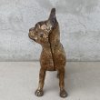 画像3: VINTAGE ANTIQUE BOSTON TERRIER DOOR STOPPER ヴィンテージ アンティーク ボストンテリア ドアストッパー / コレクタブル オブジェ キャストアイアン 鋳物 置物 犬 店舗什器 アメリカ (3) (3)