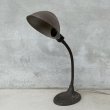 画像1: VINTAGE ANTIQUE DESK LAMP  STAND LIGHT ヴィンテージ アンティーク デスクランプ デスクライト スタンドライト 卓上ライト アメリカ / インダストリアル グースネック 照明 鉄 工業用 USA (1)