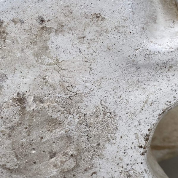 画像10: VINTAGE ANTIQUE CHALKWEAR CAT ヴィンテージ アンティーク チョークウェア 猫 ねこ オブジェ / コレクタブル ディスプレイ インテリア 置物 動物 アメリカ (1) (10)