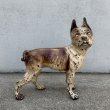 画像1: VINTAGE ANTIQUE BOSTON TERRIER DOOR STOPPER DOG ヴィンテージ アンティーク ボストンテリア ドアストッパー / コレクタブル オブジェ キャストアイアン 鋳物 置物 犬 店舗什器 アメリカ (5) (1)
