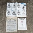 画像11: VINTAGE ANTIQUE RANWAL THE VISIBLE MAN ヴィンテージ アンティーク レンウォール ビジブルマン / 人体模型 スケルトン プラモデル ディスプレイ アメリカ (11)