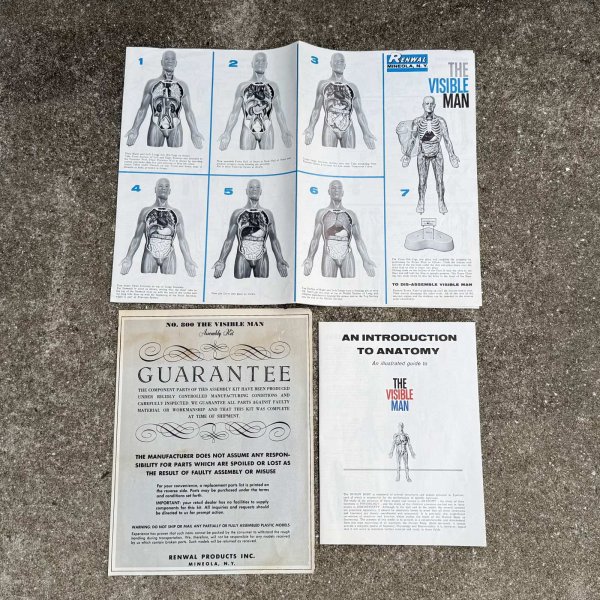 画像11: VINTAGE ANTIQUE RANWAL THE VISIBLE MAN ヴィンテージ アンティーク レンウォール ビジブルマン / 人体模型 スケルトン プラモデル ディスプレイ アメリカ (11)