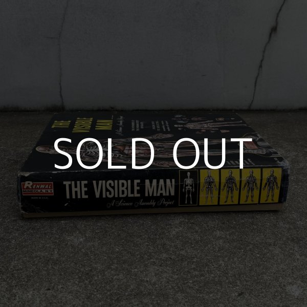 画像3: VINTAGE ANTIQUE RANWAL THE VISIBLE MAN ヴィンテージ アンティーク レンウォール ビジブルマン / 人体模型 スケルトン プラモデル ディスプレイ アメリカ (3)